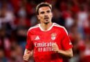 Benfica abate Estoril com Palhinha a ver pontapé canhão a resolver na Luz